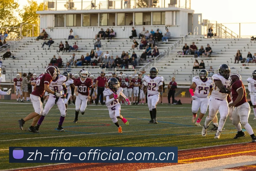 2026世界杯多终端预览